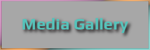 Media Gallery-01